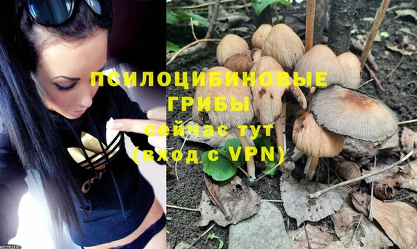 прущие крисы Абдулино