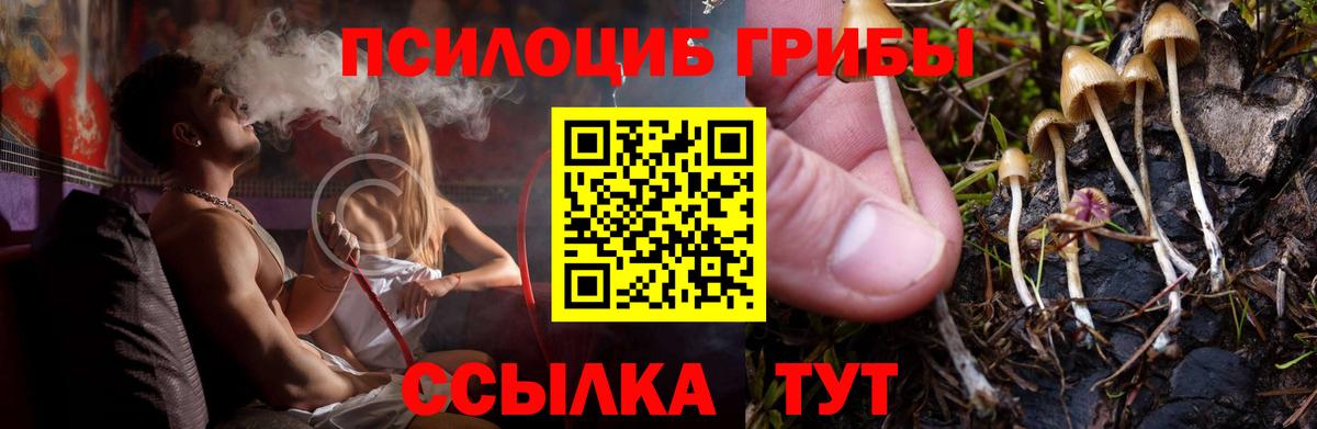 Галлюциногенные грибы Psilocybine cubensis  Псилоцибиновые грибы MAGIC MUSHROOMS  Вход с VPN  Зеленогорск 