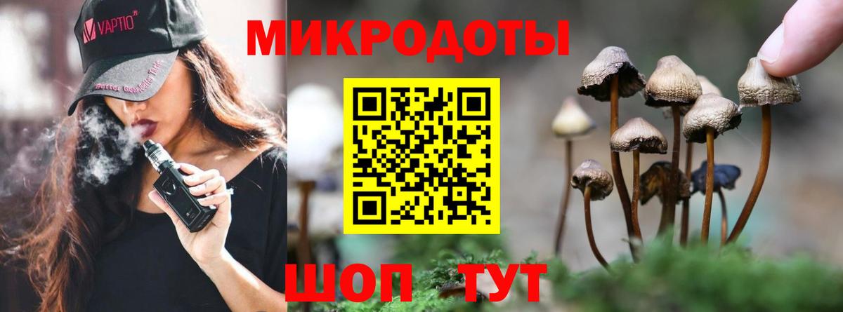 Псилоцибиновые грибы мухоморы Зеленогорск