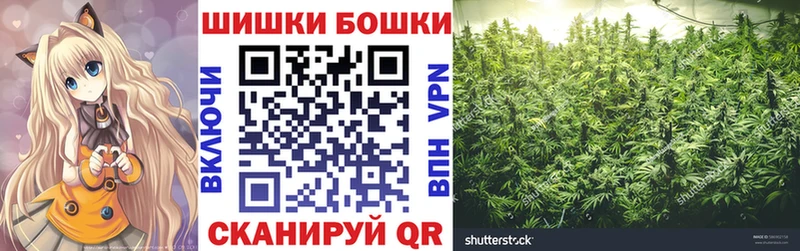 shop как зайти  Зеленогорск  Каннабис Amnesia 