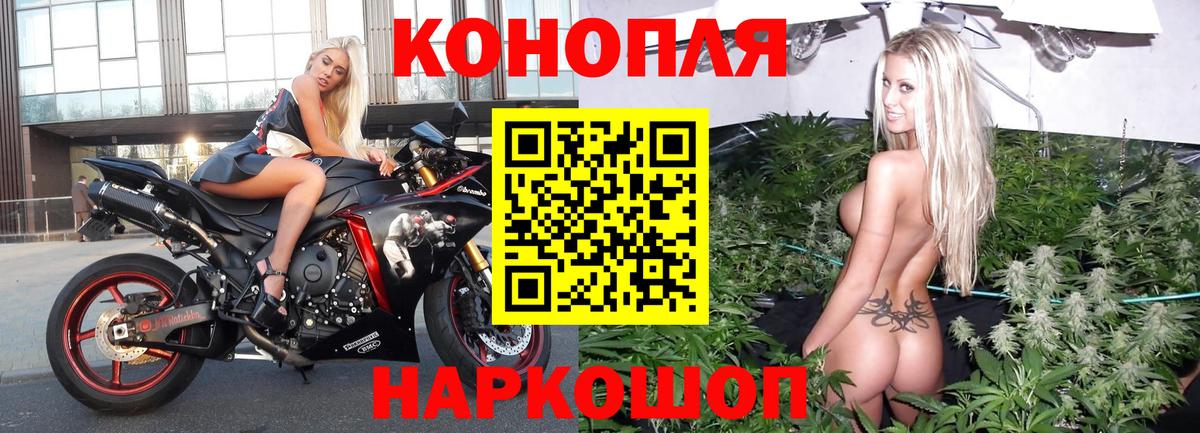 Бошки марихуана MAZAR Зеленогорск